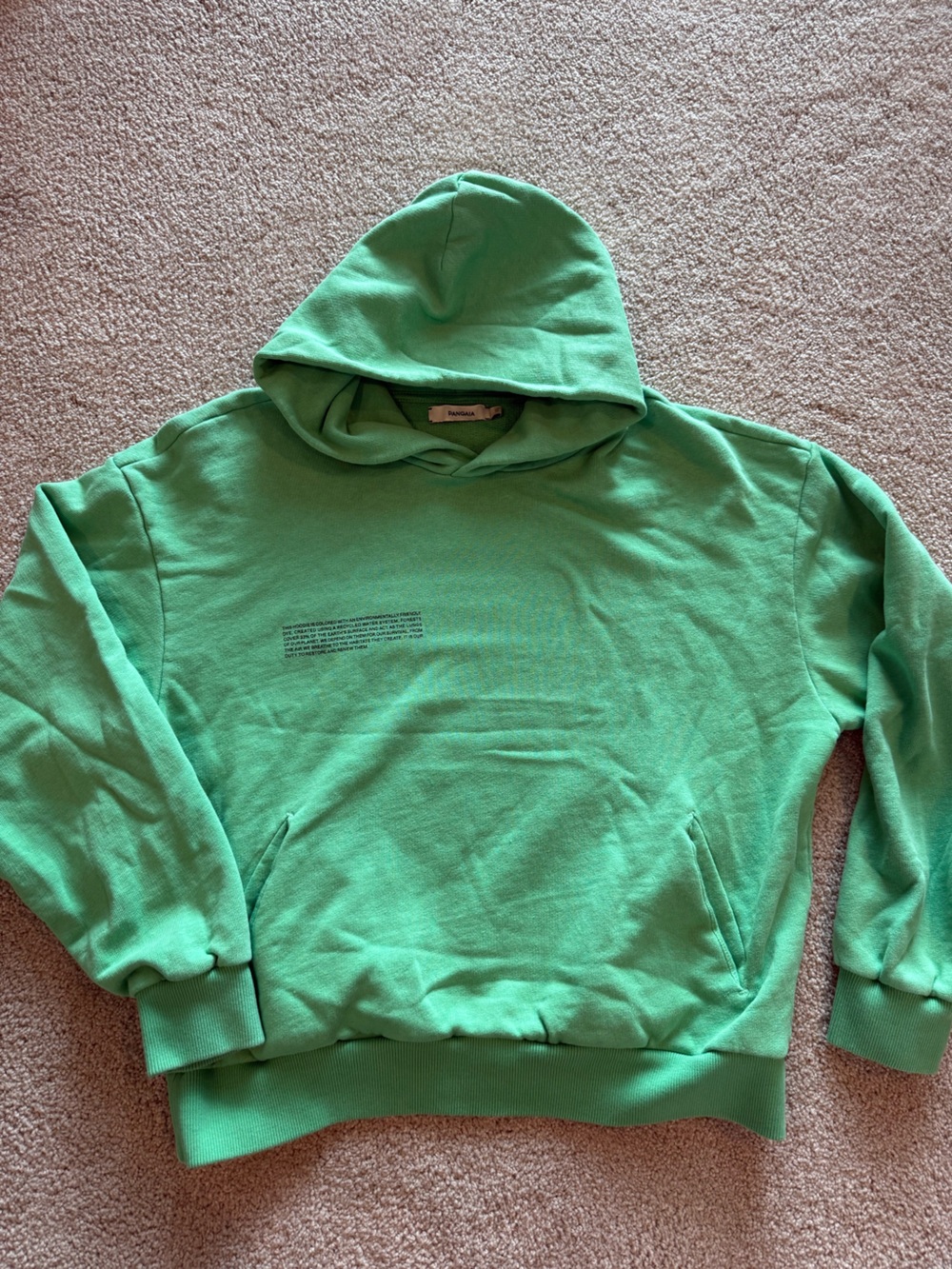Pangaia Seafoam Green Pullover Hoodie